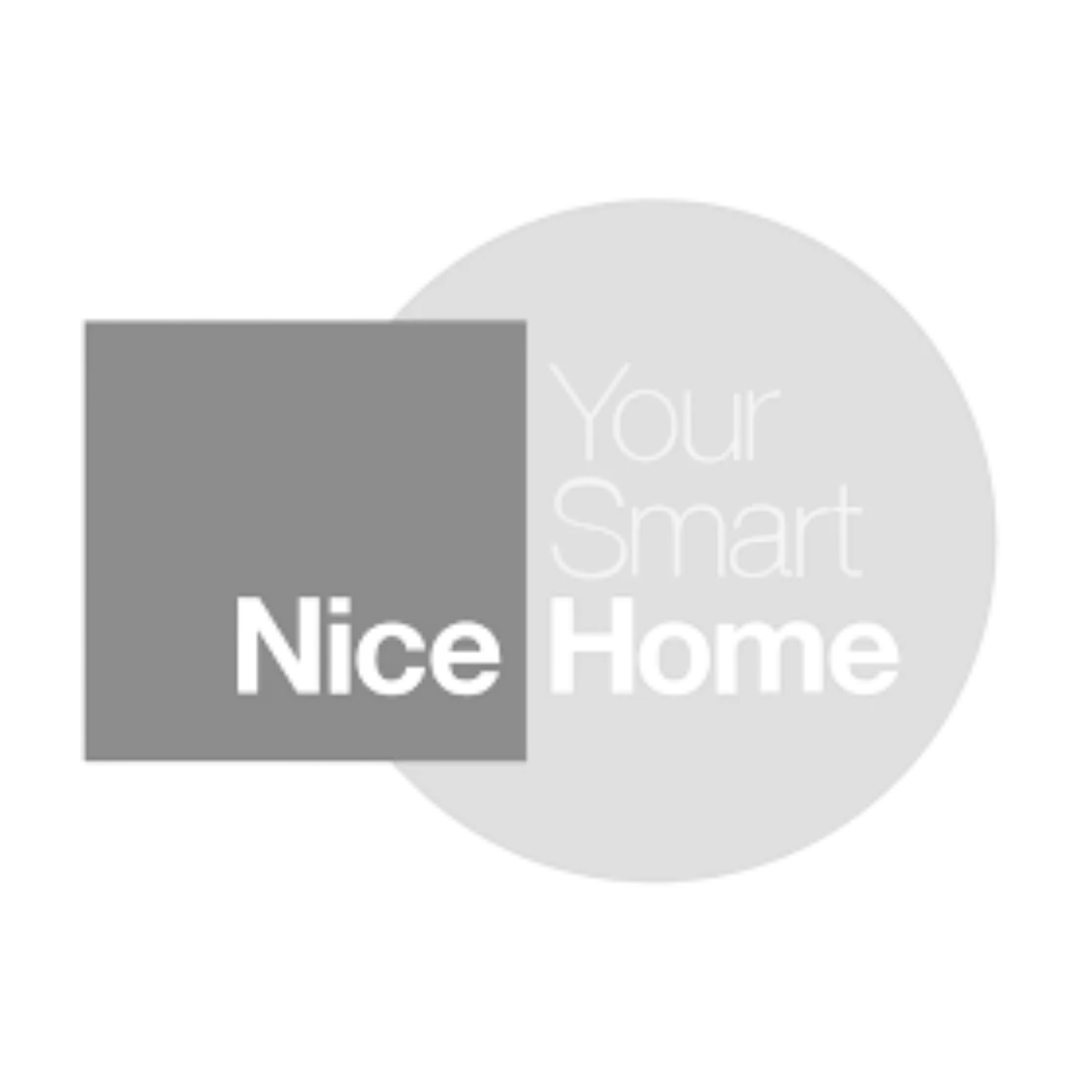 Nice